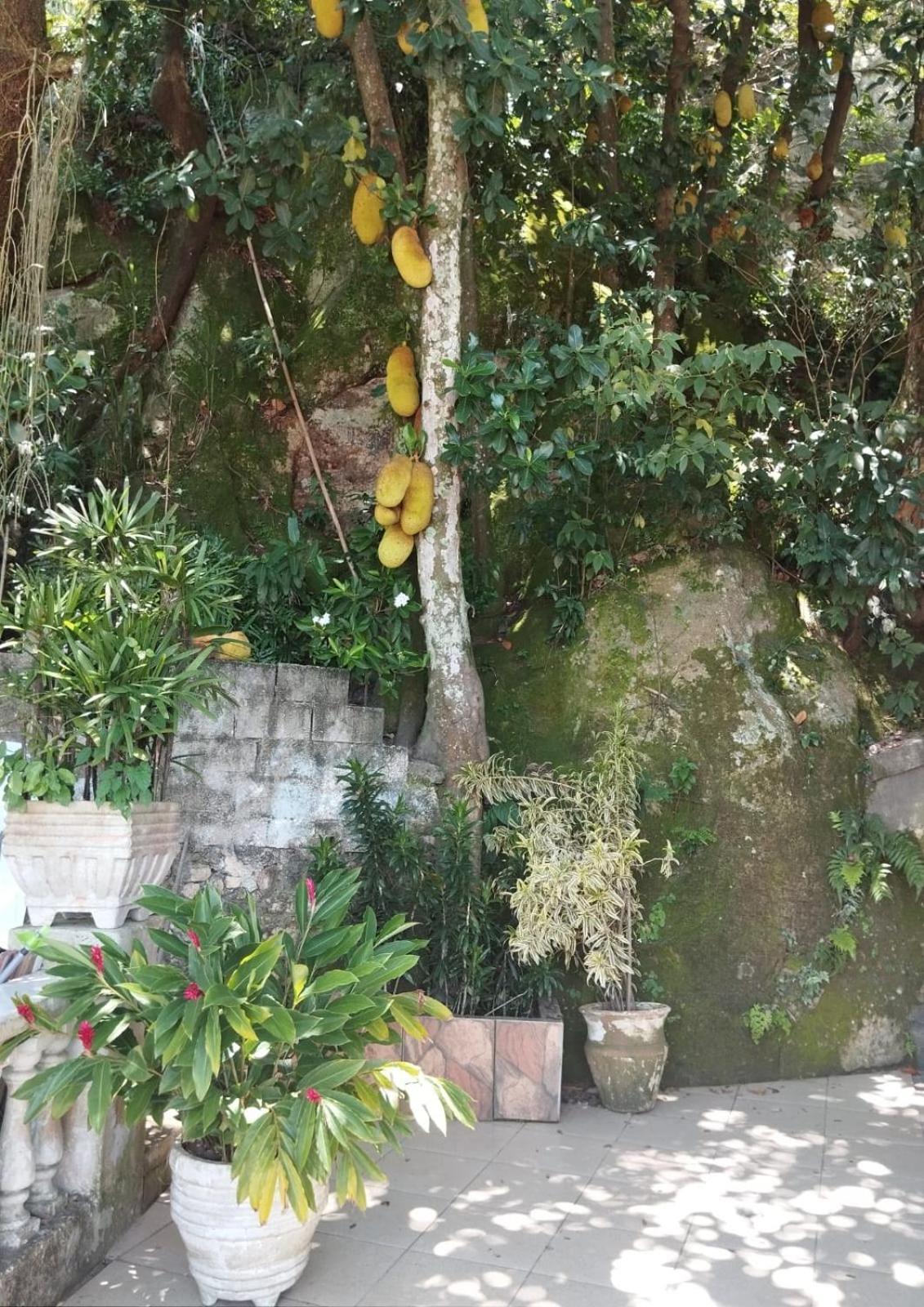 Casa Das Luzes Hostel Ivn Río de Janeiro Exterior foto